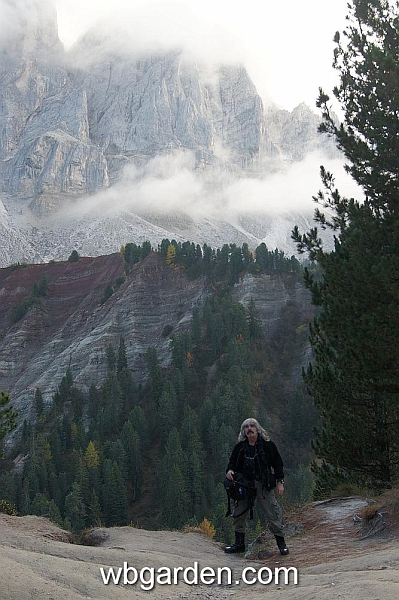 wbgarden alps 42.JPG